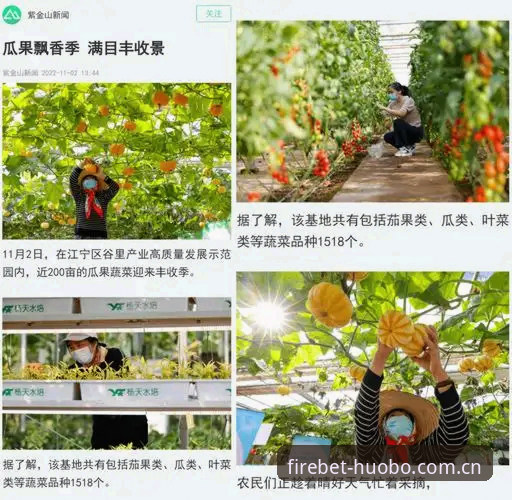 火博体育在线平台 火博体育在线平台:2026新版vs旧版全面对比,体验升级还是换汤不换药?