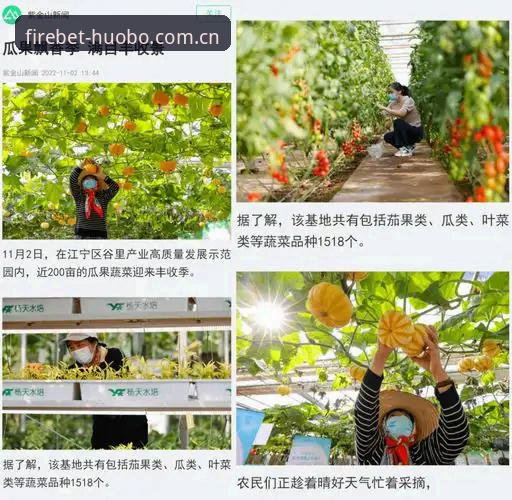 火博体育在线登录官网入口与APP下载全面对比：2026新版到底该怎么选？